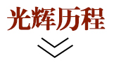 光辉历程